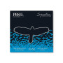 Струни для гітари PRS Signature Light Top / Heavy Bottom Guitar Strings 10-52 (100148011001004) Струни для гітари PRS Signature Light Top / Heavy Bottom Guitar Strings 10-52 (100148011001004)