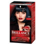 Фарба для волосся Brillance 891-Синьо-чорний 142.5 мл (4015000509848) Фарба для волосся Brillance 891-Синьо-чорний 142.5 мл (4015000509848)