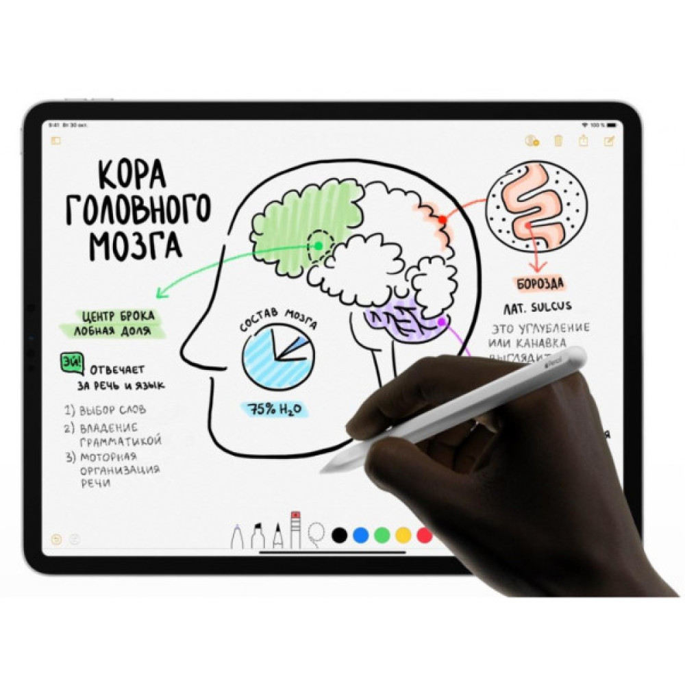 Стилус Apple Pencil (2‑го поколения) iPadPro11"/iPadPro12,9" (3-gen) (MU8F2ZM/A)