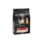Сухий корм для собак Purina Pro Plan Dog Medium Adult з куркою 3 кг (7613035114807) Сухий корм для собак Purina Pro Plan Dog Medium Adult з куркою 3 кг (7613035114807)