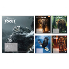 Зошит 1 вересня Beasts in Focus А5 36 аркушів клітинка (768058)