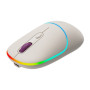 Мишка Canyon MW-22 Dual Band RGB Wireless Rice (CNS-CMSW22RC) Мишка Canyon MW-22 Dual Band RGB Wireless Rice (CNS-CMSW22RC)