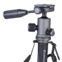 Штатив Vanguard VEO 2S CM-264TBP (DAS302039) Штатив Vanguard VEO 2S CM-264TBP (DAS302039)