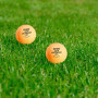 М'ячик для настільного теніса Gewo AWR Outdoor 40+ orange 6шт (96614200) (931308)