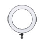 Набір блогера PowerPlant Ring Light RL-288A LED (RL288A) Набір блогера PowerPlant Ring Light RL-288A LED (RL288A)