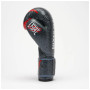 Боксерські рукавички Leone GN004 Primal Instinct Black 10 oz (GN004_Black_10oz)