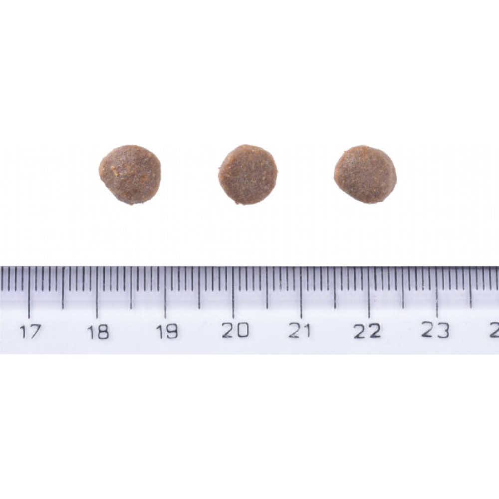 Сухий корм для собак Brit Care Dog Grain-free Puppy беззерновий з лососем 3 кг (8595602558810)