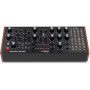 Синтезатор Moog Music Labyrinth (240984)