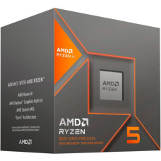 AMD Ryzen 5 8500G BOX (100-100000931BOX)