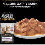 Вологий корм для кішок Purina Pro Plan Kitten Healthy Start Для кошенят З індичкою 10 х 85 г (7613034767646)