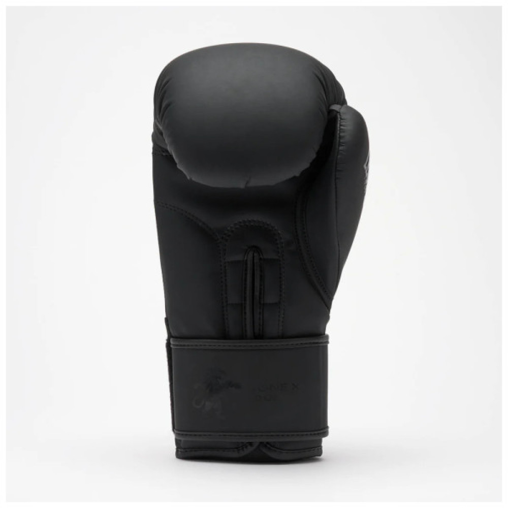 Боксерські рукавички Leone GN058 Tone X Black 16 oz (GN058_Black_16oz)