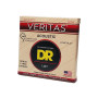 Струни для гітари DR Strings VERITAS Coated Core Acoustic Guitar Strings - Light (12-54) (VTA-12) Струни для гітари DR Strings VERITAS Coated Core Acoustic Guitar Strings - Light (12-54) (VTA-12)