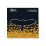 Струни для гітари PRS Signature David Grissom Guitar Strings (11-49) (100148004001004) Струни для гітари PRS Signature David Grissom Guitar Strings (11-49) (100148004001004)