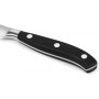 Кухонний ніж Victorinox Grand Maitre 12 см (7.7203.12G) Кухонний ніж Victorinox Grand Maitre 12 см (7.7203.12G)