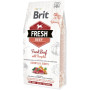 Сухий корм для собак Brit Fresh Beef/Pumpkin Puppy Large 2.5 кг (8595602530762) Сухий корм для собак Brit Fresh Beef/Pumpkin Puppy Large 2.5 кг (8595602530762)