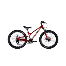 Велосипед Discovery 24" FLINT DD рама-12" ST 2025 червоний (OPS-DIS-24-362)