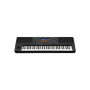 Синтезатор Yamaha PSR-SX700 Синтезатор Yamaha PSR-SX700