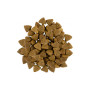Сухий корм для собак Savory Small Breeds rich in Fresh Lamb 8 кг (4820232630334) Сухий корм для собак Savory Small Breeds rich in Fresh Lamb 8 кг (4820232630334)