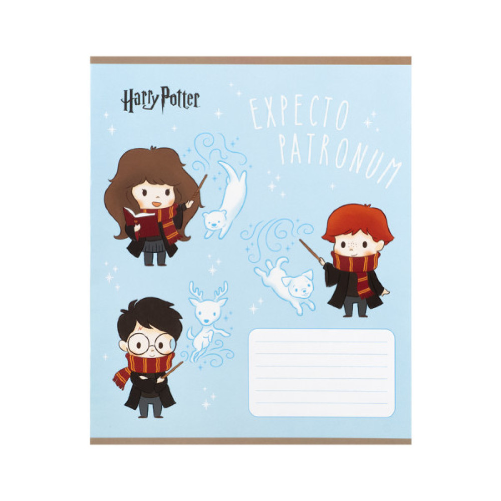 Зошит Kite Harry Potter, 12 аркушів, коса лінія (HP25-235)