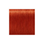 Фарба для волосся Indola Permanent Caring Color 8.44x - Світлий блондин інтенсивний мідний екстра (4045787931648) Фарба для волосся Indola Permanent Caring Color 8.44x - Світлий блондин інтенсивний мідний екстра (4045787931648)