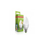 Лампочка EUROELECTRIC LED CL 6W E14 4000K 220V (LED-CL-06144(EE)) Лампочка EUROELECTRIC LED CL 6W E14 4000K 220V (LED-CL-06144(EE))