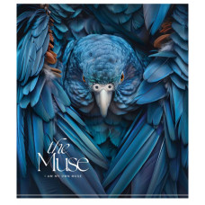 Зошит Школярик THE MUSE 48 аркушів клітинка (048-3444K)