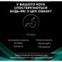 Вологий корм для кішок Purina Pro Plan Veterinary Diets EN Gastrointestinal При хворобах шлунково-кишкового тракту З куркою 10 x 85 г (8445290093561) Вологий корм для кішок Purina Pro Plan Veterinary Diets EN Gastrointestinal При хворобах шлунково-кишкового тракту З куркою 10 x 85 г (8445290093561)