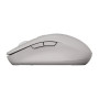 Мишка Canyon MW-12 Wireless/Bluetooth Grey (CNS-CMSW12DG) Мишка Canyon MW-12 Wireless/Bluetooth Grey (CNS-CMSW12DG)