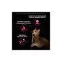 Сухий корм для кішок Purina Pro Plan Sterilised Adult 1+ Savoury Duo Після стерилізації З тріскою та фореллю 3 кг (7613036732550) Сухий корм для кішок Purina Pro Plan Sterilised Adult 1+ Savoury Duo Після стерилізації З тріскою та фореллю 3 кг (7613036732550)