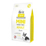 Сухий корм для собак Brit Care GF Mini Adult Lamb 2 кг (8595602520107) Сухий корм для собак Brit Care GF Mini Adult Lamb 2 кг (8595602520107)