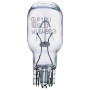 Автолампа Philips 16W (12067 CP) Автолампа Philips 16W (12067 CP)