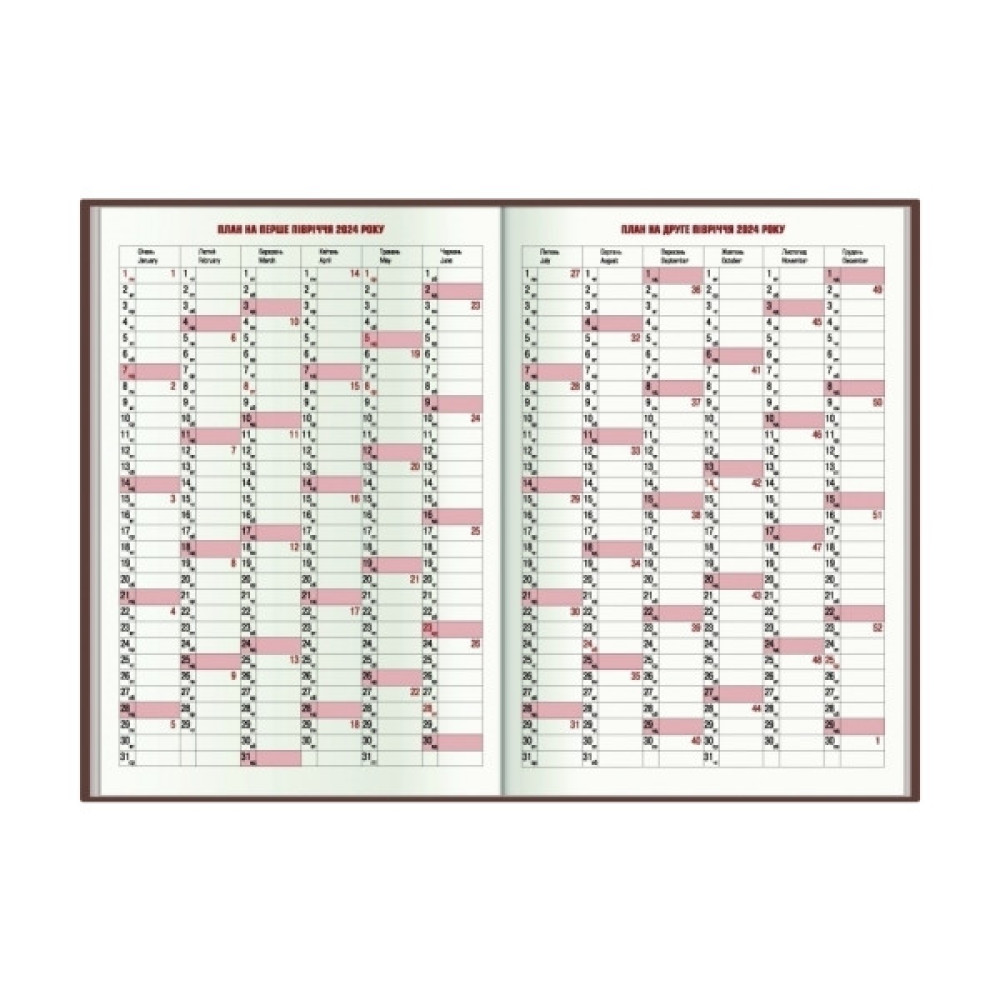 Тижневик Economix датований 2024 Spectrum, червоний А5 (E21849)