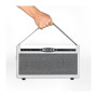 Комбопідсилювач Mooer SD30i Комбопідсилювач Mooer SD30i