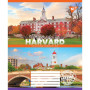Зошит Yes University 96 аркушів лінія (766772) Зошит Yes University 96 аркушів лінія (766772)