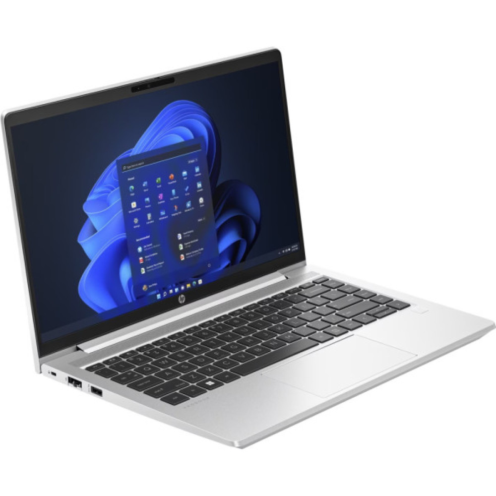 Ноутбук HP ProBook 440 G10 (8D4U6ES)