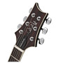 Гітара напівакустична PRS SE Hollowbody Standard - McCarty Tobacco Sunburst (SEHBECBMT) Гітара напівакустична PRS SE Hollowbody Standard - McCarty Tobacco Sunburst (SEHBECBMT)