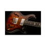 Гітара напівакустична PRS SE Hollowbody Standard - McCarty Tobacco Sunburst (SEHBECBMT) Гітара напівакустична PRS SE Hollowbody Standard - McCarty Tobacco Sunburst (SEHBECBMT)