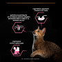 Вологий корм для кішок Purina Pro Plan Cat Nutrisavour Delicate Для котів з чутливим травленням З океанічною рибою 75 г (8445290660923) Вологий корм для кішок Purina Pro Plan Cat Nutrisavour Delicate Для котів з чутливим травленням З океанічною рибою 75 г (8445290660923)