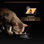 Вологий корм для кішок Purina Pro Plan Cat Nutrisavour Delicate Для котів з чутливим травленням З океанічною рибою 75 г (8445290660923) Вологий корм для кішок Purina Pro Plan Cat Nutrisavour Delicate Для котів з чутливим травленням З океанічною рибою 75 г (8445290660923)