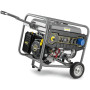 Генератор Karcher PGG 6/1 (1.042-208.0)