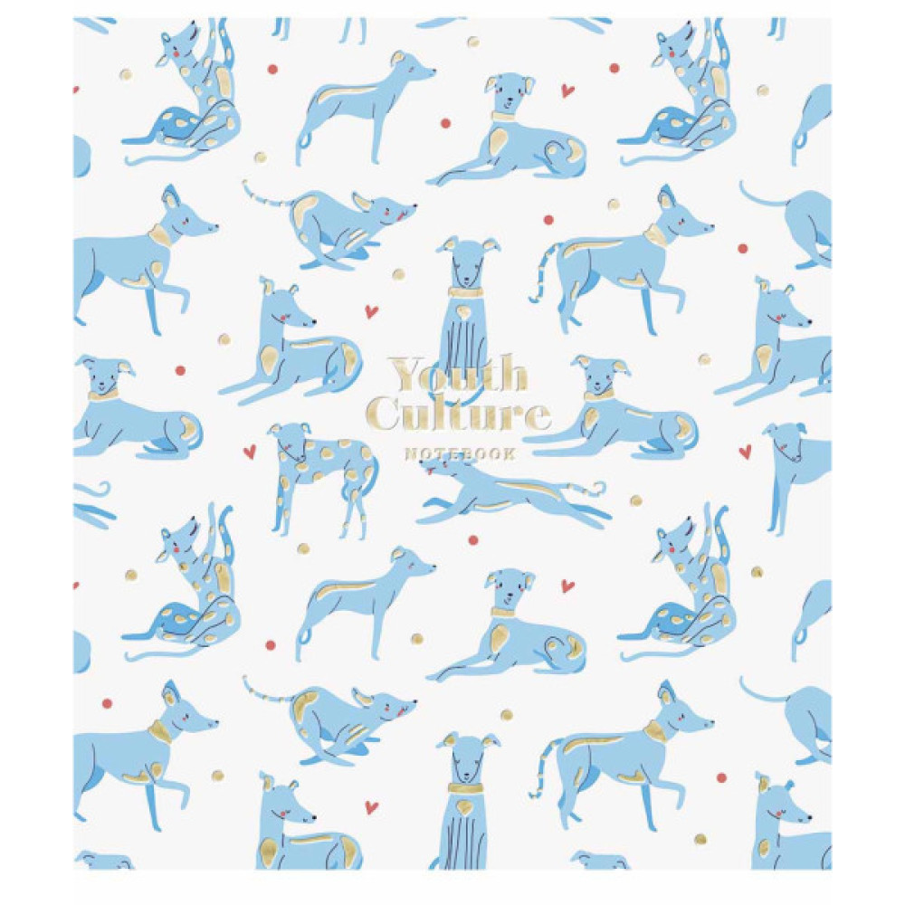 Зошит Школярик Young Culture 80 аркушів лінія (080-3152L)