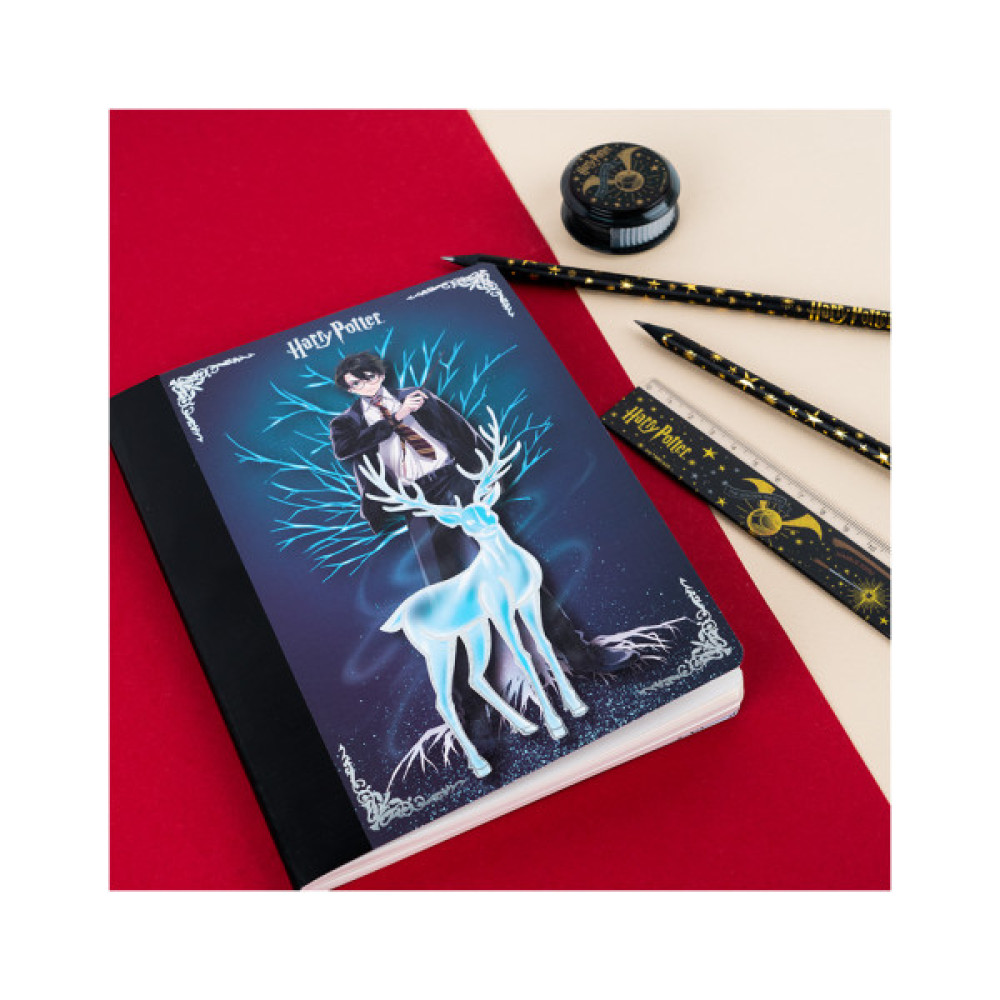 Блокнот Kite з магнітною закладкою Harry Potter А5, 60 аркушів, клітинка (HP25-192)