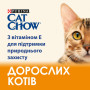 Сухий корм для кішок Purina Cat Chow Adult з качкою 1.5 кг (7613035394117) Сухий корм для кішок Purina Cat Chow Adult з качкою 1.5 кг (7613035394117)