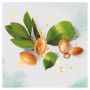 Кондиціонер для волосся Herbal Essences Марокканська арганова олія 275 мл (8001841436869/8006540099087) Кондиціонер для волосся Herbal Essences Марокканська арганова олія 275 мл (8001841436869/8006540099087)