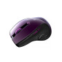 Мишка Canyon CNS-CMSW01P Wireless Purple/Black (CNS-CMSW01P) Мишка Canyon CNS-CMSW01P Wireless Purple/Black (CNS-CMSW01P)