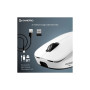 Мишка GamePro Asgard Loki Wireless/USB White (GM022W) Мишка GamePro Asgard Loki Wireless/USB White (GM022W)