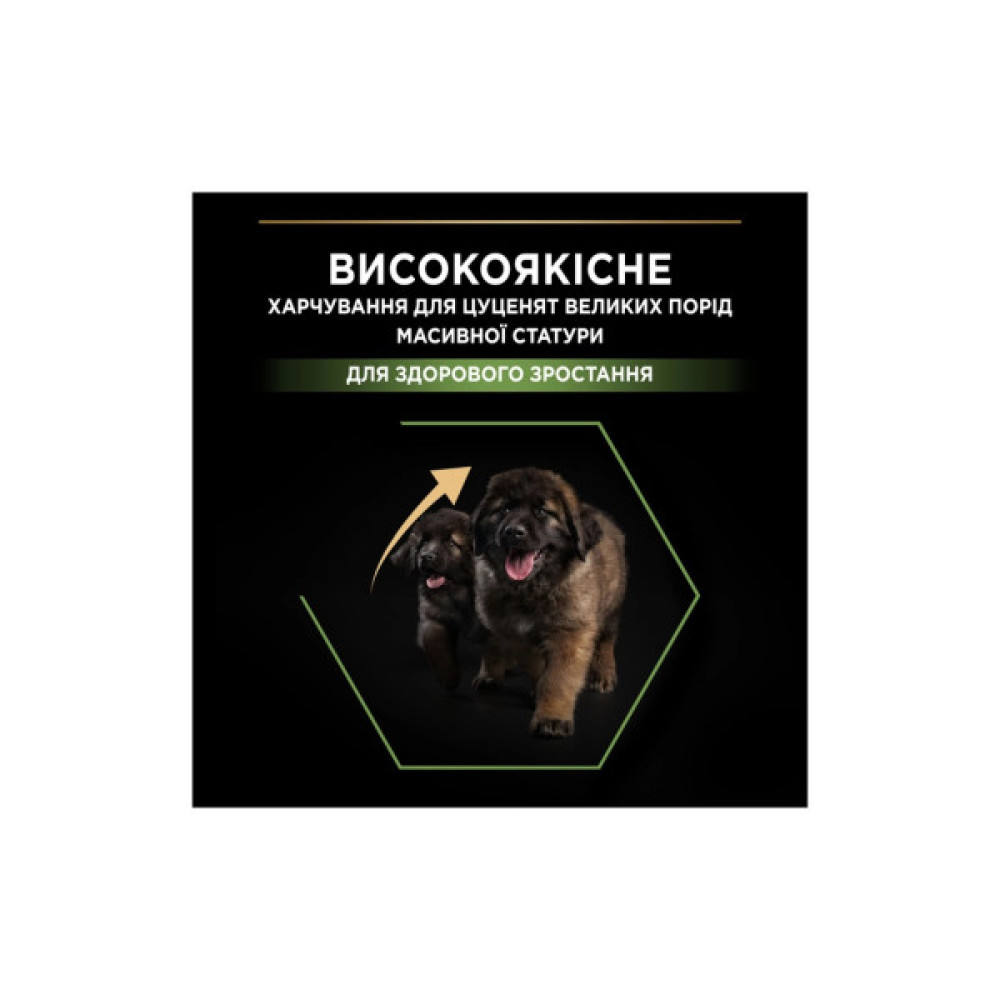 Сухий корм для собак Purina Pro Plan Dog Large Puppy Robust з куркою і рисом 12 кг (7613035120341)