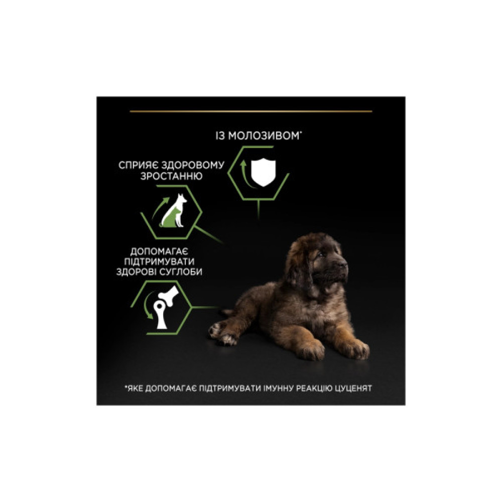 Сухий корм для собак Purina Pro Plan Dog Large Puppy Robust з куркою і рисом 12 кг (7613035120341)
