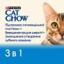 Сухий корм для кішок Purina Cat Chow Feline 3 в 1 з індичкою 15 кг (7613034153746) Сухий корм для кішок Purina Cat Chow Feline 3 в 1 з індичкою 15 кг (7613034153746)
