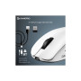 Мишка GamePro Asgard Surt Wireless/Bluetooth/USB White (GM017W) Мишка GamePro Asgard Surt Wireless/Bluetooth/USB White (GM017W)